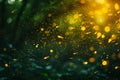 Fireflies flying in night forest Royalty Free Stock Photo