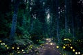 Fireflies flying in the forest at twilight
