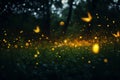 Fireflies flying in night forest