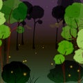 Fireflies in the forest at night