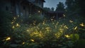 Fireflies illuminating an abandoned, overgrown garden Royalty Free Stock Photo