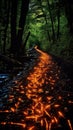 Fireflies racing across the environment