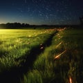 Fireflies racing across the environment