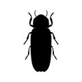 Firefly beetle Lampyridae. Sketch of Firefly Royalty Free Stock Photo