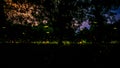 Firefly or Fireflies flying in the forest at night time in Prachinburi, Thailand