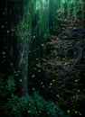 Firefly forest, flock of glow-worms among plants