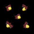 firefly, glowworm, lightning bug illustration Royalty Free Stock Photo