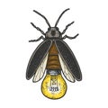 Firefly with lamp bulb sketch vector illustration