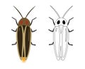 Firefly or Lampyridae Vector Illustration Royalty Free Stock Photo