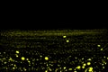 Firefly, lightning bugs on black background Royalty Free Stock Photo