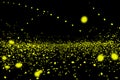 Firefly, lightning bugs on black background