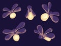 Firefly. Luminous glowworm