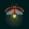 Firefly with open wings