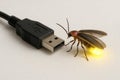 The firefly plugs into a USB port. Royalty Free Stock Photo