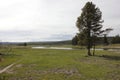 Firehole River across from Ojo Caliente