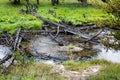 Firehole River, Yellowstone National Park, Wyoming, USA Royalty Free Stock Photo