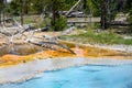 Firehole Spring hydrothermal area in the Great Fountain Group, Yellowstone National Park, USA Royalty Free Stock Photo