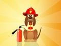 Firehouse Dog