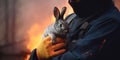 Fireman Holding Wild Rabbit During Fire In Forest