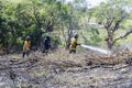 Firemen Working Together To Put Out Bush Fire