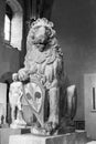 Black and white photo of stone statue of lion holding a shield inside medieval museum in Florence