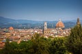 Firenze panoramic cityscape Royalty Free Stock Photo