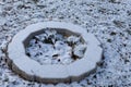 Firepit covered in fresh snow Royalty Free Stock Photo