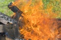 Fireplace burning. Warm cozy burning fire in a brick fireplace close up. Cozy background. Bonfire in nature