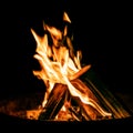 Fireplace with burning wood logs, campfire on a brazier at night Royalty Free Stock Photo