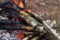 Fireplace with charred logs and smoke and flame in forest closeup. Wood and charcoal ash in bonfire. Royalty Free Stock Photo