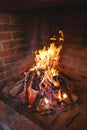 Fireplace fire for preparing traditional croatian dish peka