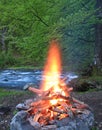 Fireplace in the forest