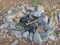 Fireplace made of stones