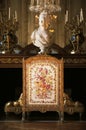 Fireplace in Queen Marie Antoinette bedroom at Versailles Palace