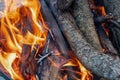 Close Up of Campfire Flames Burning Logs Royalty Free Stock Photo