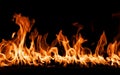 firestorm. Fire burning. Bright burning flames on a black background. Wall of Real fire, abstract background. Fire Royalty Free Stock Photo