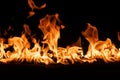 firestorm. Fire burning. Bright burning flames on a black background. Wall of Real fire, abstract background. Fire Royalty Free Stock Photo