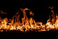 firestorm. Fire burning. Bright burning flames on a black background. Wall of Real fire, abstract background. Fire Royalty Free Stock Photo