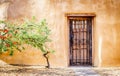 Firethorn tree and a door Royalty Free Stock Photo