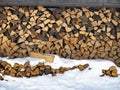 Firewood Royalty Free Stock Photo