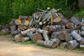 Firewood Royalty Free Stock Photo