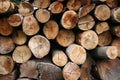 Firewood background Royalty Free Stock Photo