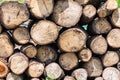 The firewood background. Preparation of firewood for the winter. A stack of neatly stacked firewood on the street