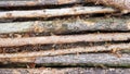 Firewood on big pile , top view, beautiful wooden logs. background of stacked logs top view from the drone. pile stacked natural Royalty Free Stock Photo