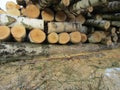 Firewood Royalty Free Stock Photo