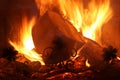 Firewood blaze in furnace