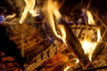 Firewood bonfire is blazing. Burning wood campfire in the night darkness Royalty Free Stock Photo