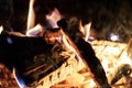 Firewood bonfire is blazing. Burning wood campfire in the night darkness Royalty Free Stock Photo