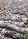 Firewood And Branches Royalty Free Stock Photo