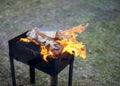 Firewood in the brazier Royalty Free Stock Photo